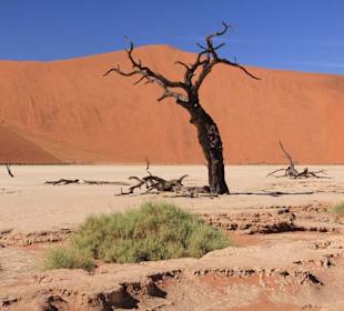 Death Vlei