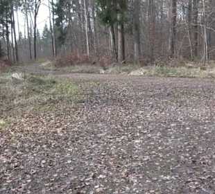 Rundwanderung durch den Rauhen Rammert Hemmendorf