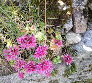 Wandern Ridnaun Ratschings