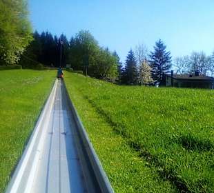 Sommerrodelbahn Peterberg in Nonnweiler