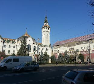 Primaria din TG-Mures