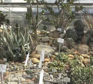 Botanischer Garten