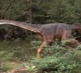 Dinosaurier Museum Altmühltal