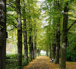 Impressionen aus dem herbstlichen Schlosspark