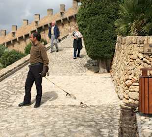 Falckner wartet auf seinen Falcken