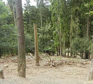 Aussicht Wildpark während der Fahrt