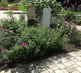 Blühendes Neresheim 2021