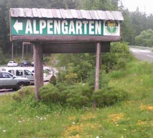 Ausflug auf den Dobratsch