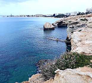 Ayia Napa Bogen Monachus Monachus