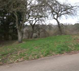 Unterjesinger Wengertwegle