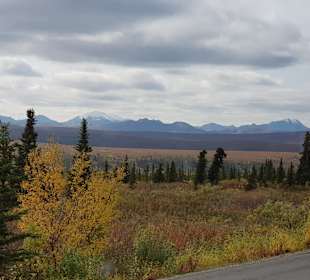 Denali National Park