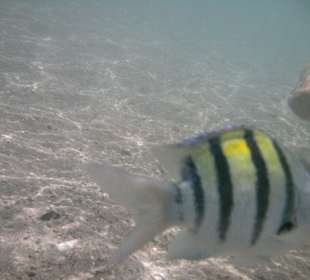 Sharm el Naga