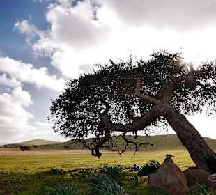 Inselrundfahrt Sardinien