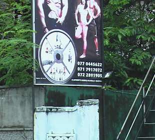 Schild - Fitness Studio