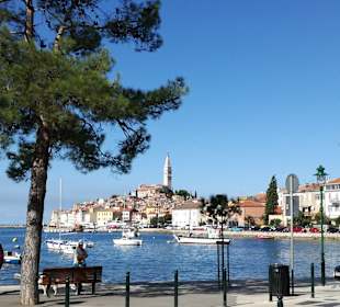 Hafen Rovinj