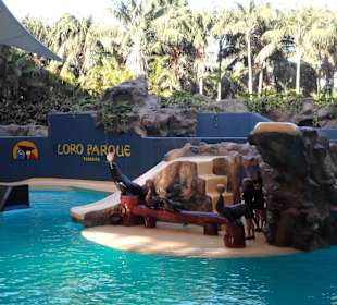 Loro Parque 