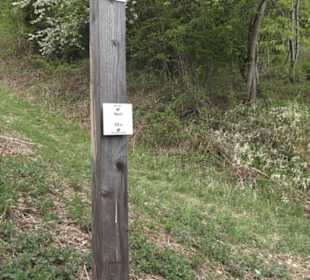 Wanderweg Firstwaldrunde