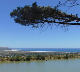 Cape Point Vineyards in Noordhoek