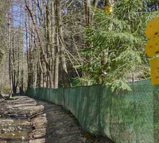 Einstieg zur Rettenbachklamm