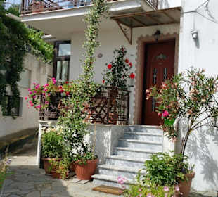 ...der Katze gefällt's!