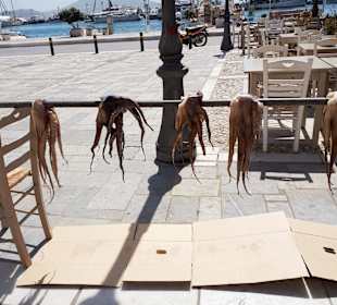 Tintenfische... in Naxos-Stadt 