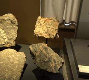 Museum für Naturkunde