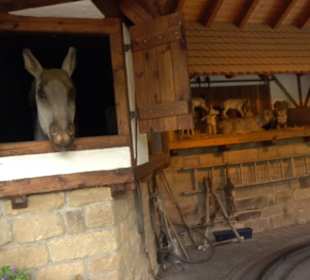 Erlebnispark Tripsdrill