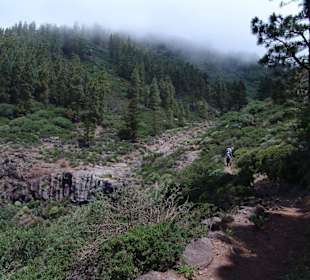 Wanderung: Tafelberg