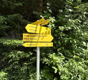 Wandern Finkenberg
