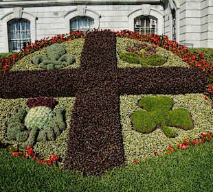 Pflanzenkunst vor dem Rathaus