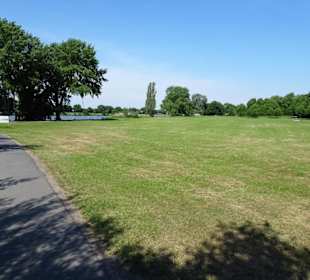Eindrücke vom Werdersee im Frühling
