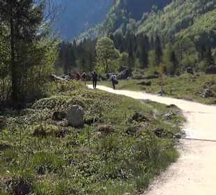 Weg zum Obersee