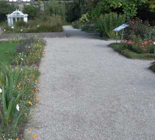 Botanischer Garten München