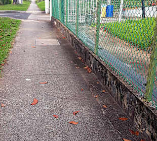 Der Weg ist das Ziel