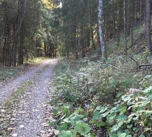 Geschichtslehrpfad Streichen