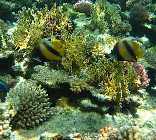 Ausflug mit dem Boot