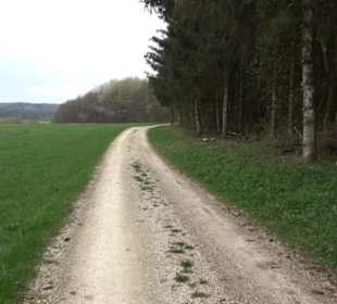 Wanderweg Kunst der kleinen Schritte