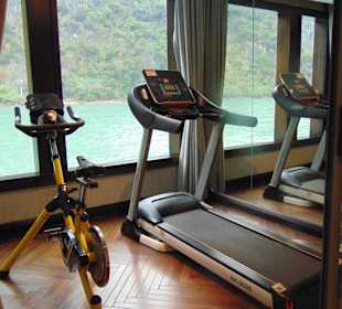 Jade Sails Cruise Tageskreuzfahrt Halong Bucht