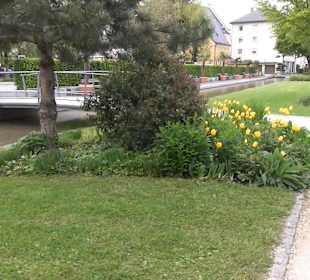 Riedergarten