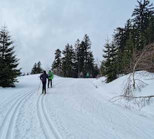 Langlaufzentrum Bodenmais-Bretterschachten