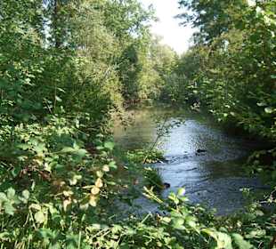 Naturschutzgebiet Taubergießen