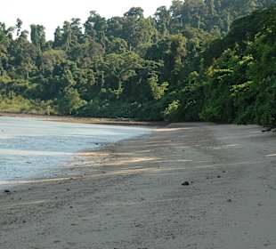 Auf den Spuren Robinsons