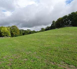 Spaziergang durch den Mühlenkamp-Park