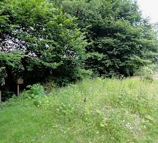 Impressionen aus dem Sinnesgarten Lopshof