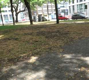Park Gereonsdriesch
