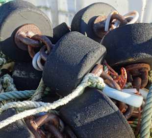 Grundrollen der Netze zum Krabbenfang