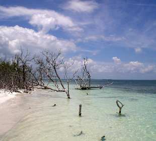Natur pur Cayo Blanco - Ausflug