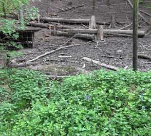 Walderlebnisweg Rottenburg