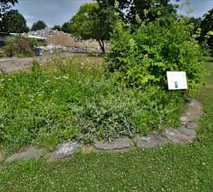 Impressionen aus dem Botanischen Garten Düsseldorf
