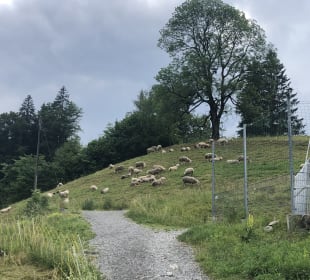 Wandern Oberstdorf